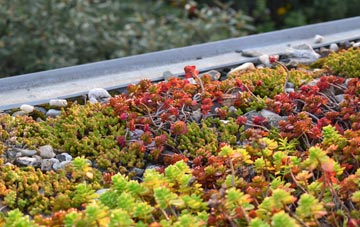 the cost of Gable Head green roof installation