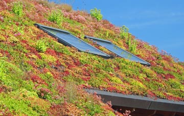 Gable Head living roof systems